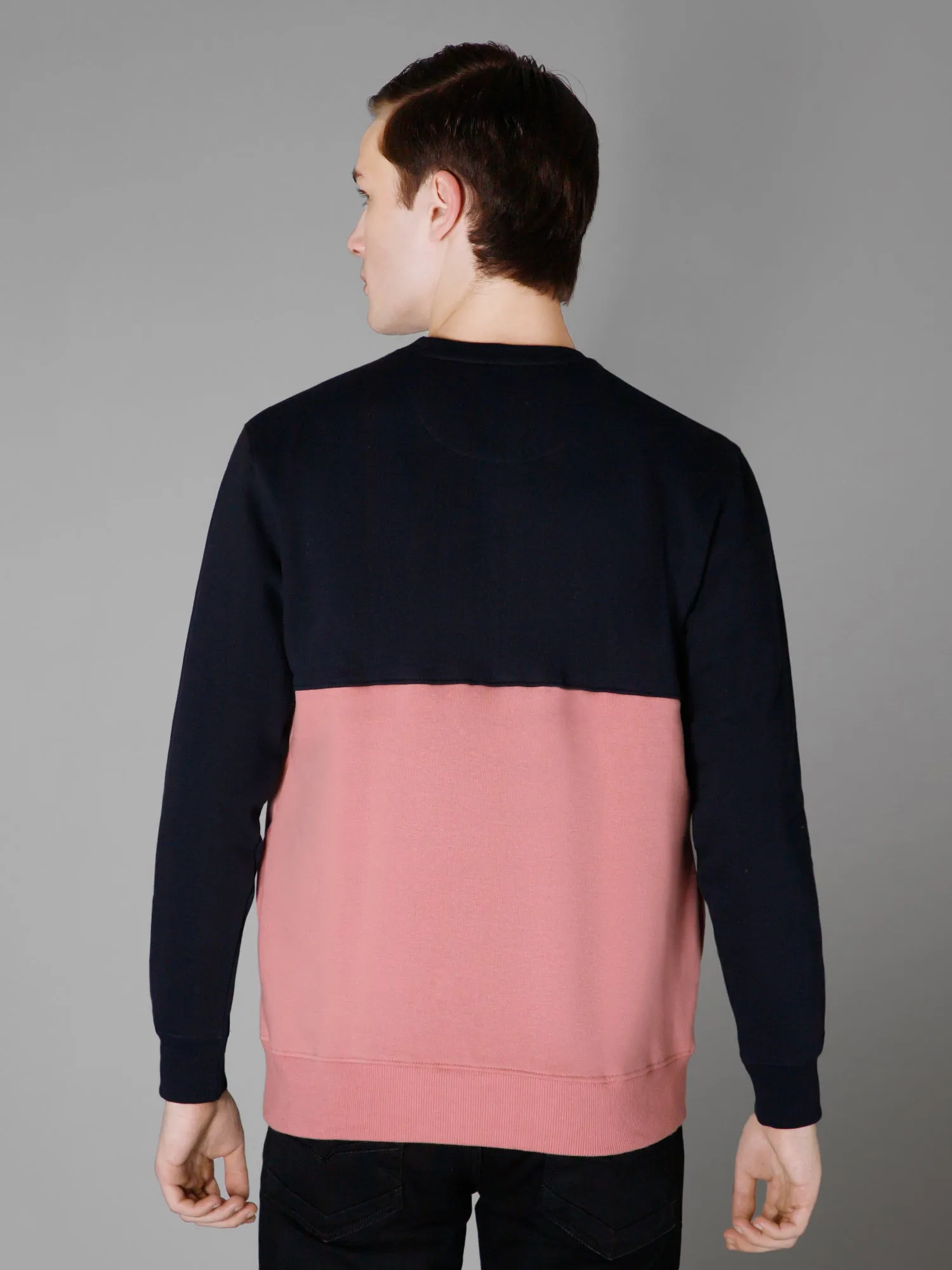 Color Blocked Dark Pink Full Sleeves Rounded Neck Regular Fit Casual Sweatshirt for Men