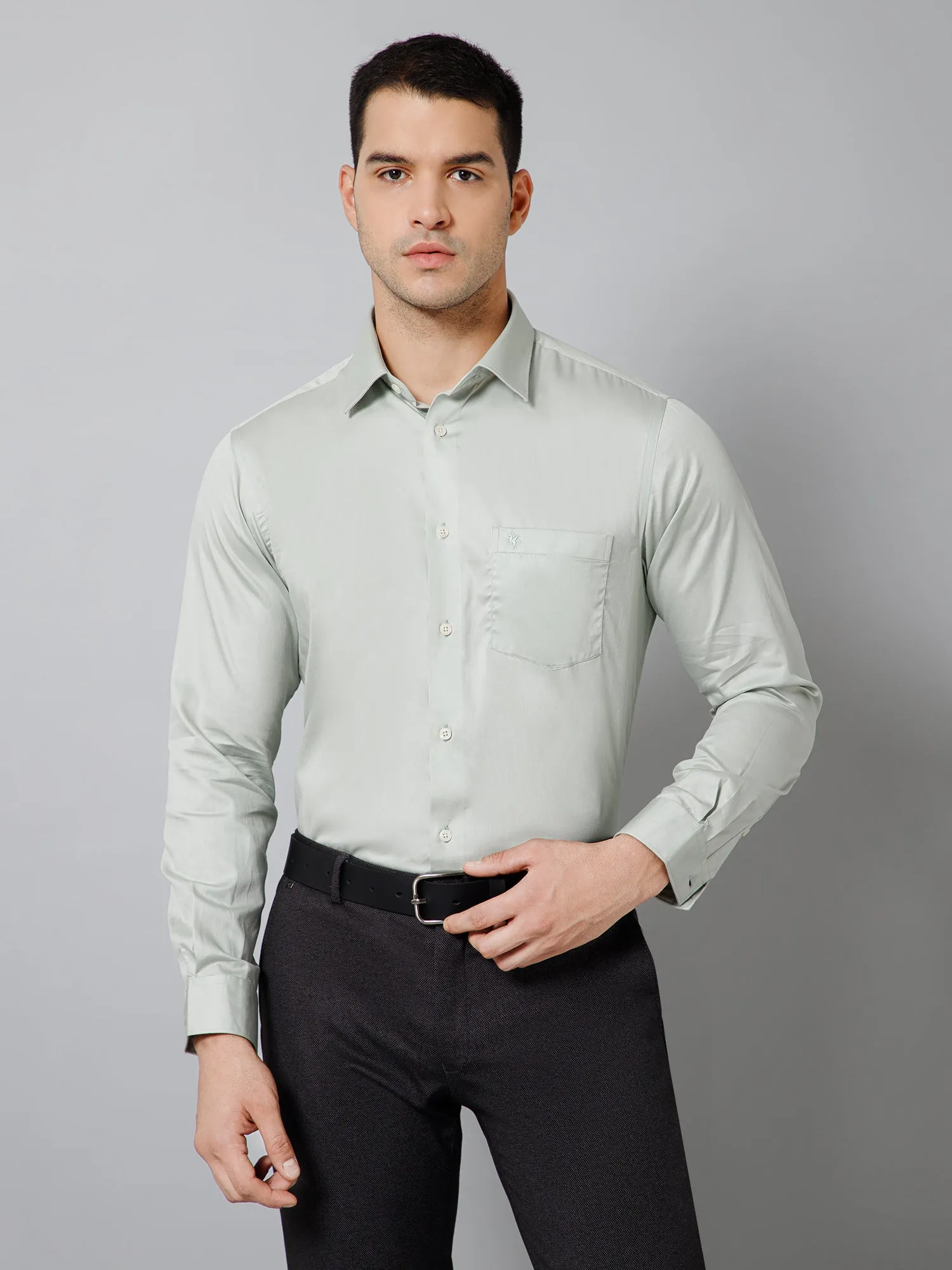 Men's Sage Green Party Plain Full Sleeve Shirt